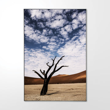 Deadvlei #2